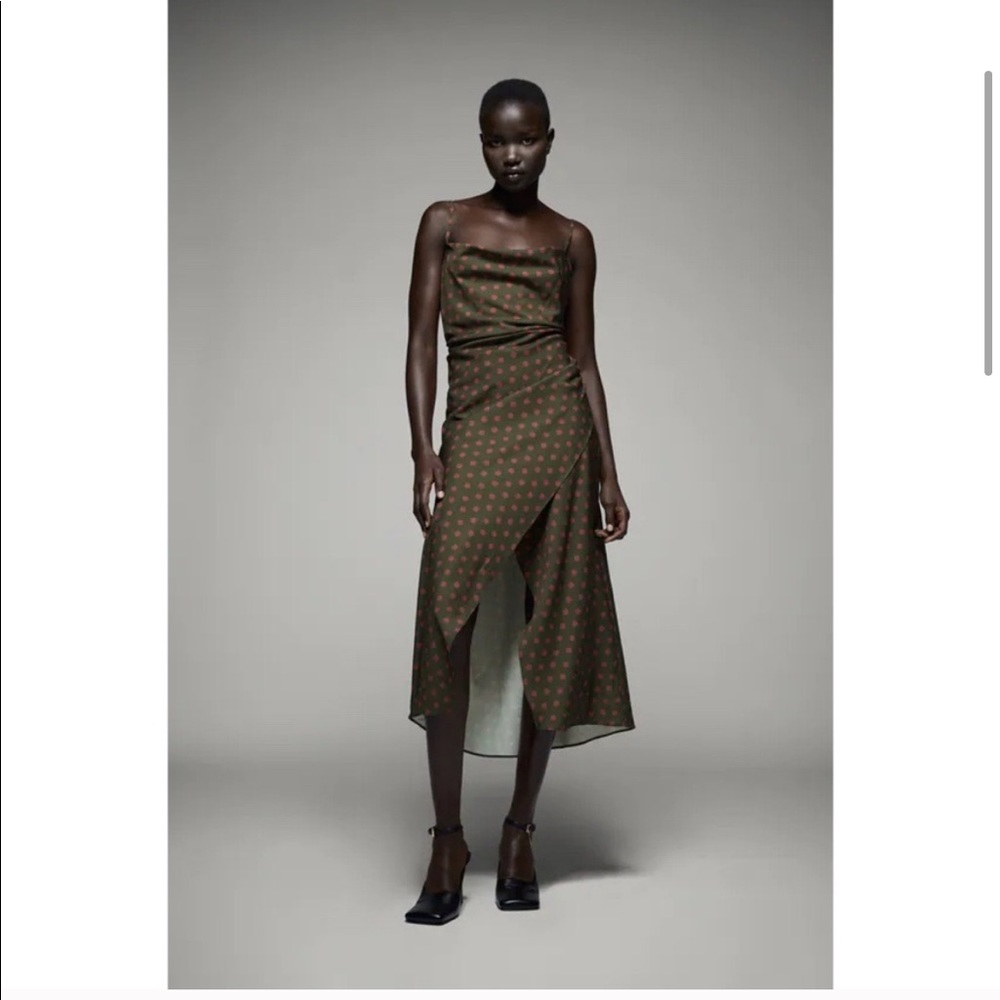 Zara Polka dot dress